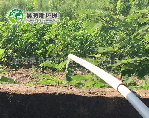现场